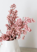 Load image into Gallery viewer, Preserved Pepper Berries in Pink
