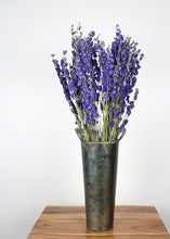 Load image into Gallery viewer, Purple Dried Larkspur Wildflowers - 20-24" Tall
