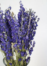 Load image into Gallery viewer, Purple Dried Larkspur Wildflowers - 20-24" Tall
