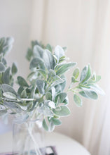 Load image into Gallery viewer, Flocked Lambs Ear Leaf Spray in Grey Green - 28&quot; Tall
