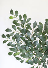 Load image into Gallery viewer, Silk Italian Ruscus Stem - 26" Tall
