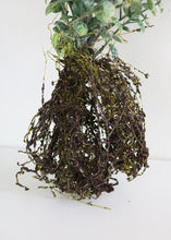 Load image into Gallery viewer, Fake Plant with Flocked Button Leaves and Roots - 14&quot; Tall
