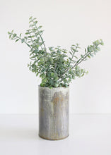 Load image into Gallery viewer, Fake Plant with Flocked Button Leaves and Roots - 14&quot; Tall
