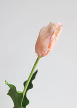 Load image into Gallery viewer, Coral Real Touch Faux Parrot Tulip
