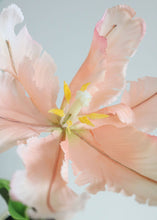 Load image into Gallery viewer, Coral Real Touch Faux Parrot Tulip
