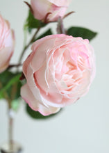 Load image into Gallery viewer, Natural Touch Artificial Roses in Blush - 21" Tall
