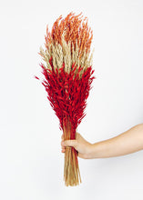 Load image into Gallery viewer, Red Assorted Dried Oats and Grass Bouquet - 25" Tall
