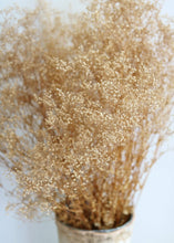 Load image into Gallery viewer, Preserved Natural Gypsophila

