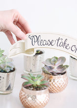 Load image into Gallery viewer, LIVE Rosette Succulent Collection - Pack of 100 - Ships Alone
