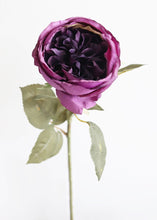 Load image into Gallery viewer, Silk English Cabbage Rose in Violet - 25" Tall
