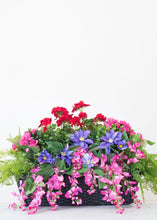Load image into Gallery viewer, Indoor/Outdoor Boxwood Bush - 12&quot; Tall
