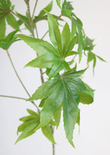 Load image into Gallery viewer, Fake Marijuana Leaves Spray - 39&quot; Tall

