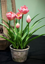 Load image into Gallery viewer, Pink Fake Tulip Potted Flowers Arrangement - 12.5"
