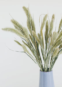 Dried Setaria Grass
