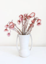 Load image into Gallery viewer, Dried Mini Silver Daisy in Mauve
