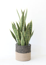 Load image into Gallery viewer, Artificial Indoor/Outdoor Potted Snake Plant - 24&quot; Tall
