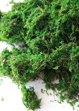 Load image into Gallery viewer, Preserved Stone Moss in Green - .25 lb
