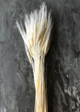 Load image into Gallery viewer, Bleached Triticum Wheat
