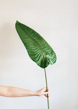 Load image into Gallery viewer, Large Faux Tropical Elephant Ear Leaf Spray - 49&quot; Tall
