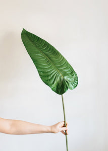 Large Faux Tropical Elephant Ear Leaf Spray - 49" Tall