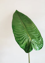 Load image into Gallery viewer, Large Faux Tropical Elephant Ear Leaf Spray - 49&quot; Tall
