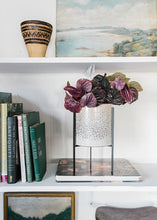 Load image into Gallery viewer, Real Touch Burgundy Peperomia Caperata Plant
