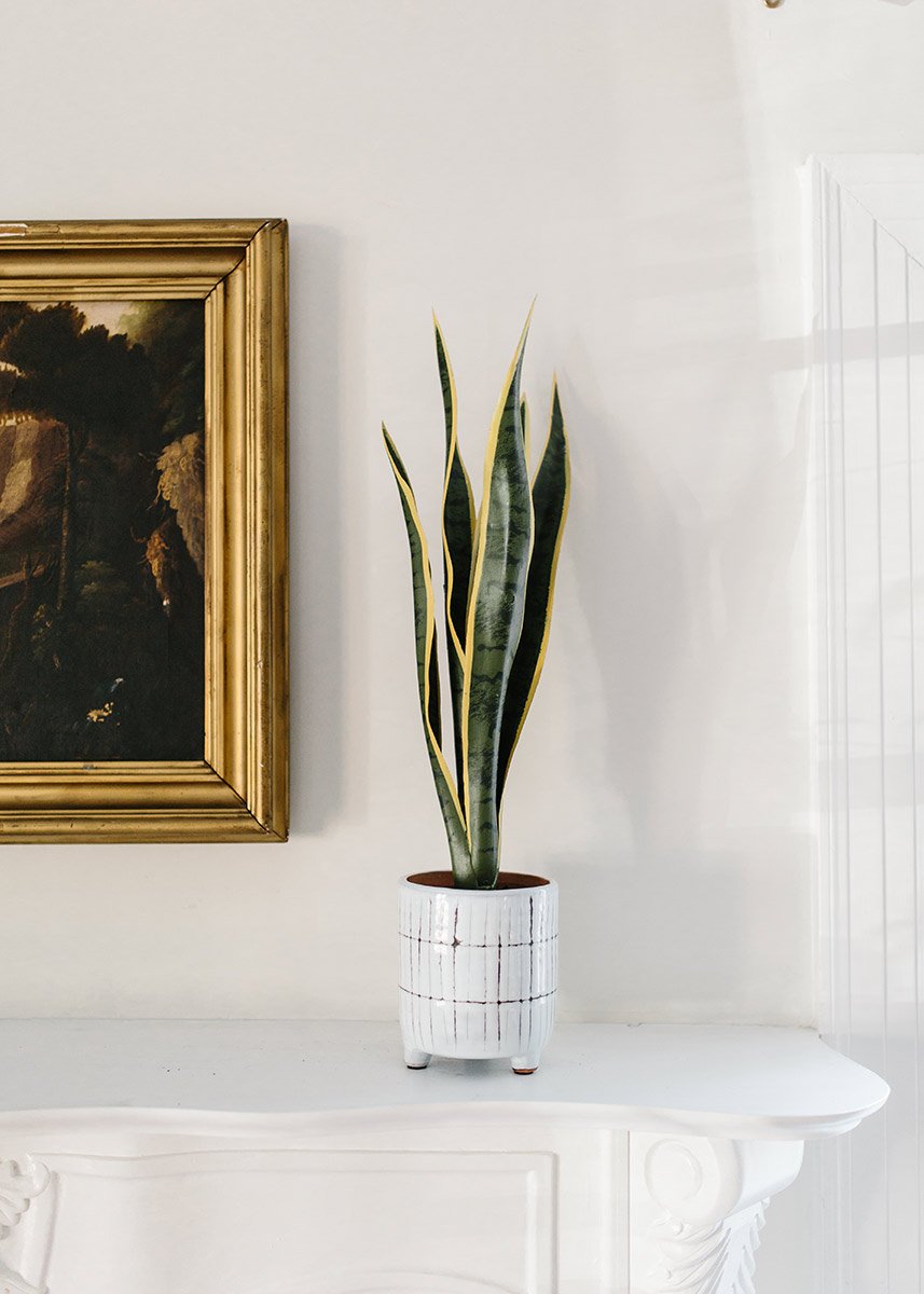 outdoor artificial snake plant Outdoor/ Indoor Artificial Snake Plant