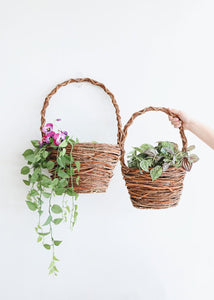 Artificial Satin Pothos - Scindapsus pictus House Plant