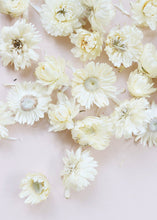 Load image into Gallery viewer, Natural Strawflower Heads in White
