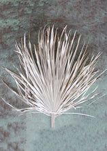 Load image into Gallery viewer, Pack of 5 - Dried Palms in Metallic Silver
