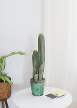 Load image into Gallery viewer, Fake Column Cactus Plant in Terra Cotta Pot - 25&quot;
