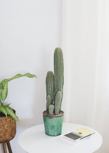 Fake Column Cactus Plant in Terra Cotta Pot - 25"