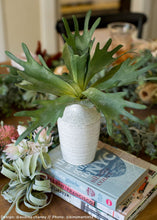 Load image into Gallery viewer, Distressed White Ceramic Hari Vase - 6.25&quot; Tall
