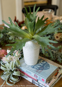 Distressed White Ceramic Hari Vase - 6.25" Tall