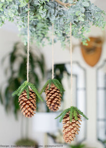 Box of 100 Natural Medium Pine Cones - 3-5" Long