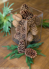 Load image into Gallery viewer, Box of 100 Natural Medium Pine Cones - 3-5&quot; Long

