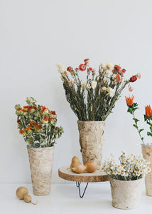 Birch Vase with Zinc Interior - 9" Tall