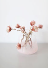 Load image into Gallery viewer, Dried Mini Silver Daisy in Mauve
