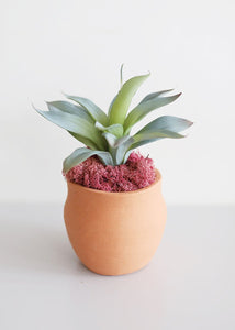 Blue Grey Plastic Agave Succulent Pick - 9" Tall