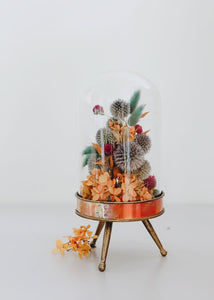 Dried Floral Coastal Echinops Globe Thistle in Blue Green