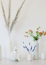 Load image into Gallery viewer, Blue Bunny Tail Dried Grass
