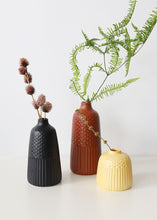 Load image into Gallery viewer, Dried Foliage Platycarya Seed Pods
