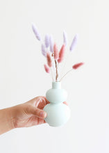 Load image into Gallery viewer, Dried Bunny Tail Grass in Mauve Pink
