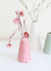 Dried Mini Silver Daisy in Mauve