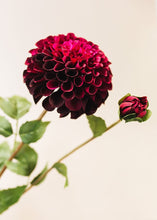 Load image into Gallery viewer, Burgundy and Fuchsia Fake Dahlia Flower - Large 4.5&quot; Bloom
