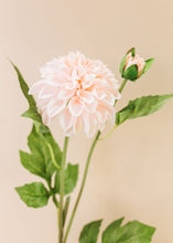 Load image into Gallery viewer, Blush Garden Dahlia Silk Flower
