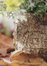 Load image into Gallery viewer, Birch Cylinder Vase Rustic Wedding Decorations - 5.5&quot; Tall

