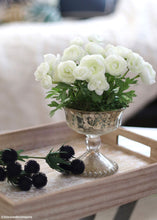 Load image into Gallery viewer, Mini White Cream Silk Ranunculus Bush - 10"
