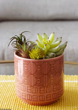 Load image into Gallery viewer, Mini Artificial Succulents Agave Cactus in Flocked Green - 4" Wide
