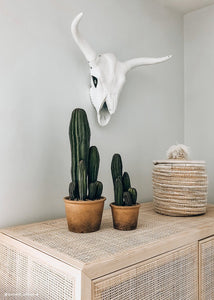 Fake Potted Plants Column Cactus in Pot - 15.5" Tall